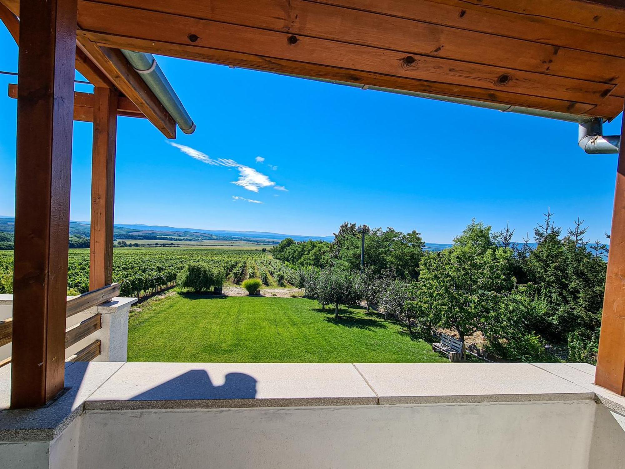 Vinox Winery Villa Vinica Exterior photo